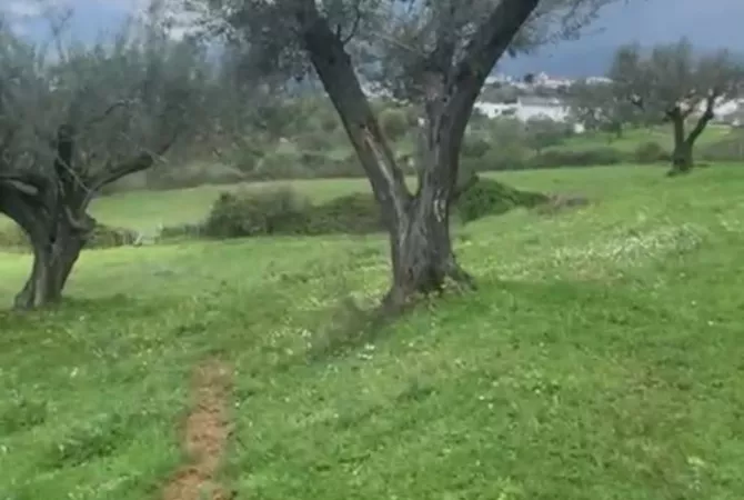 Shitet Truall Ndertimi ne Farke.