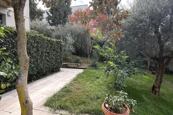 Jepet me Qira Vilë – Liqeni i Farkes , Farke