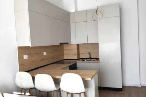 House for Rent 1+1 in Tirana - 450 Euro