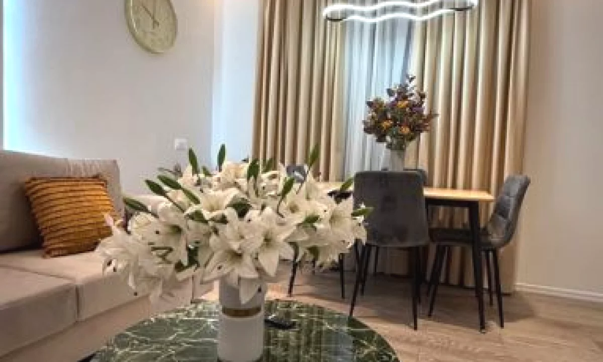 Shtepi me qera Apartament ne Tirane, 1+1, Mobilimi E mobiluar, Pagesa 580  Euro.