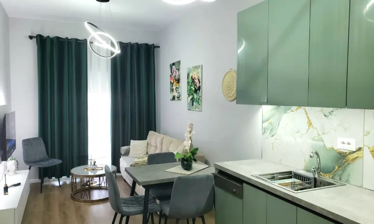 Shtepi me qera Apartament ne Tirane, 1+1, Mobilimi E mobiluar, Pagesa 450  Euro.