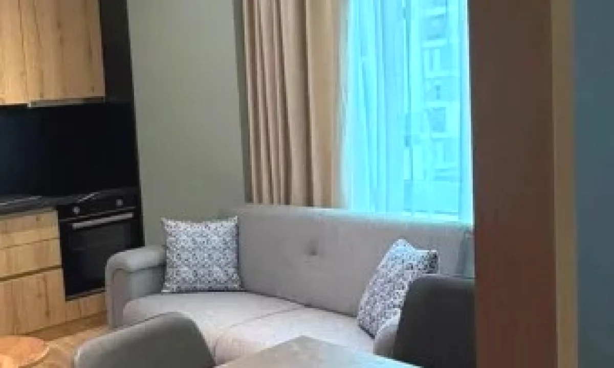 Shtepi me qera Apartament ne Tirane, Garsoniere, Mobilimi E mobiluar, Pagesa 340  Euro.