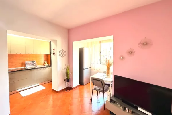 Shtepi ne shitje 1+1 ne Tirane - 140,000 Euro