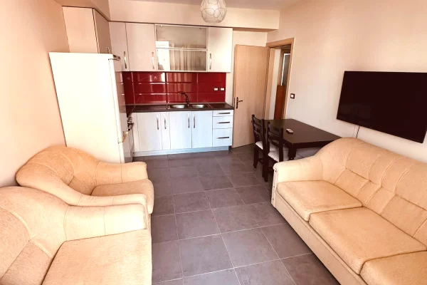 Jepet apartament 1+1 me qira te Shkolla e Bashkuar , Rruga Vangjel Capo , Allias , Rruga e Dibres , 