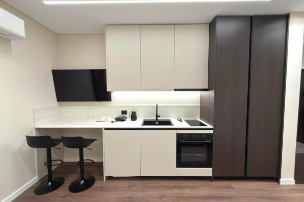 Shtepi ne shitje 1+1 ne Tirane - 220,000 Euro