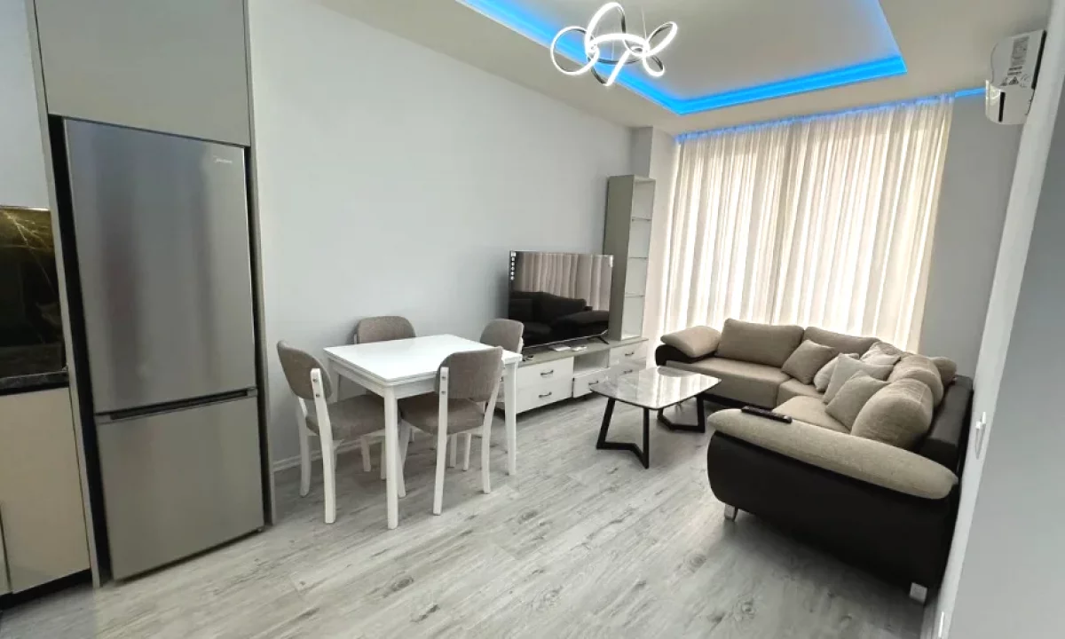 House for Rent Apartment in Tirana, 1+1, Furniture Furnished, Payment 650  Euro.