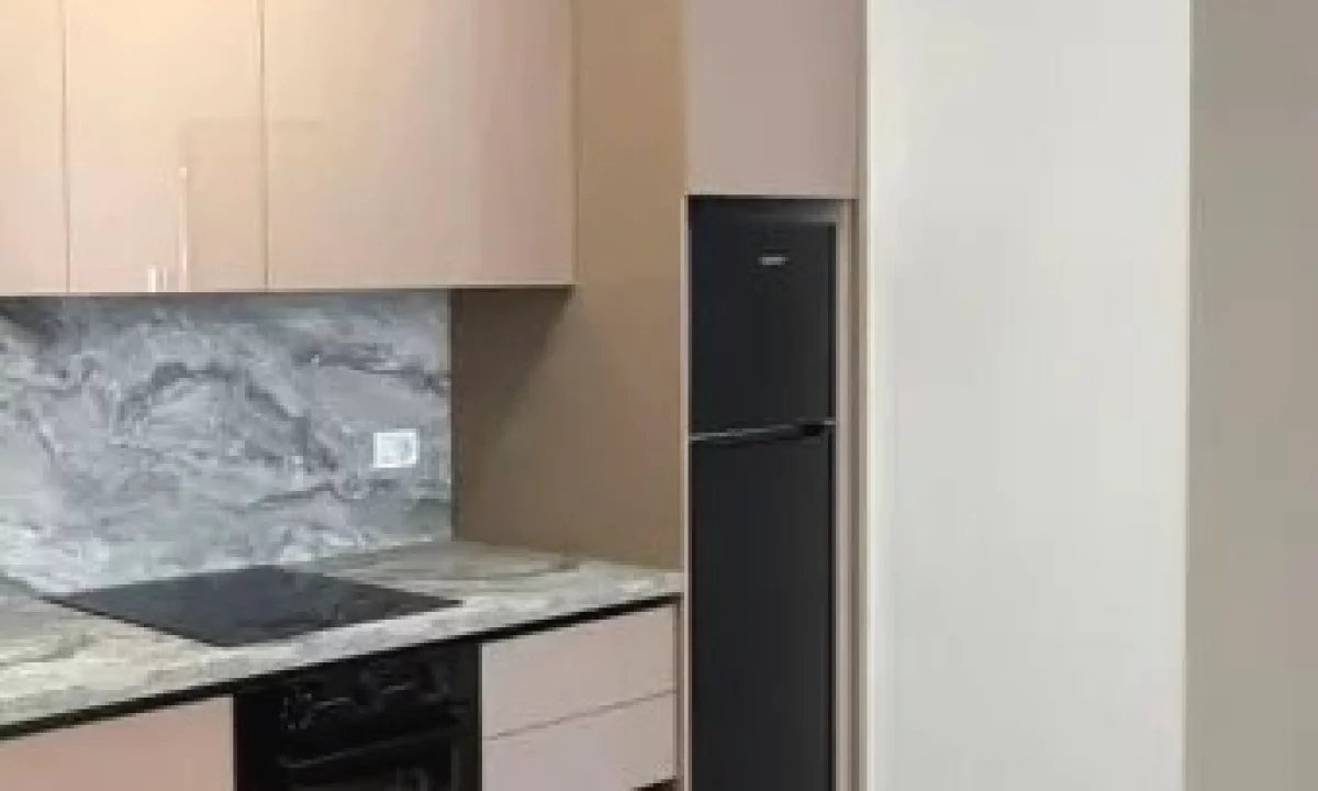 Shtepi me qera Apartament ne Tirane, 1+1, Mobilimi E mobiluar, Pagesa 600  Euro.
