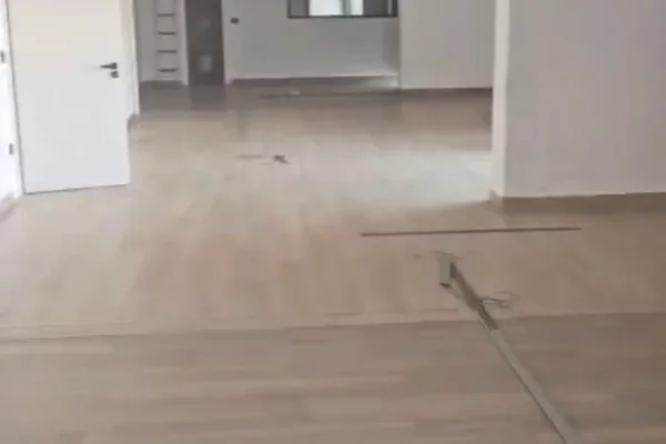Jepet zyre me qira tek Ringu , Zogu i Zi .