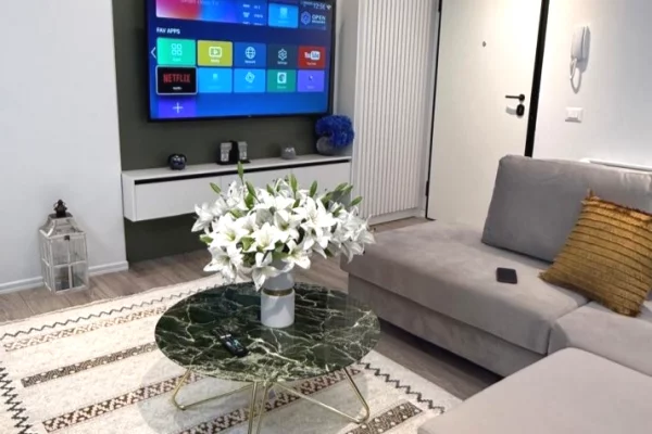 House for Rent 1+1 in Tirana - 580 Euro