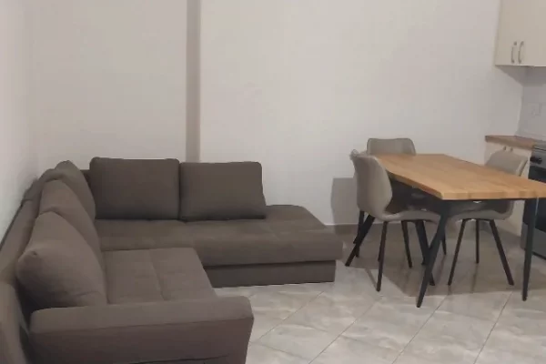 Shtepi me qera 1+1 ne Tirane - 550 Leke