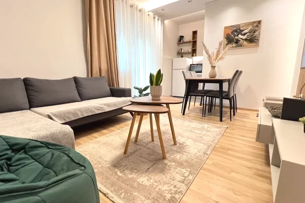 Jepet apartament 2+1 me qira ne Qender##800Leke##80