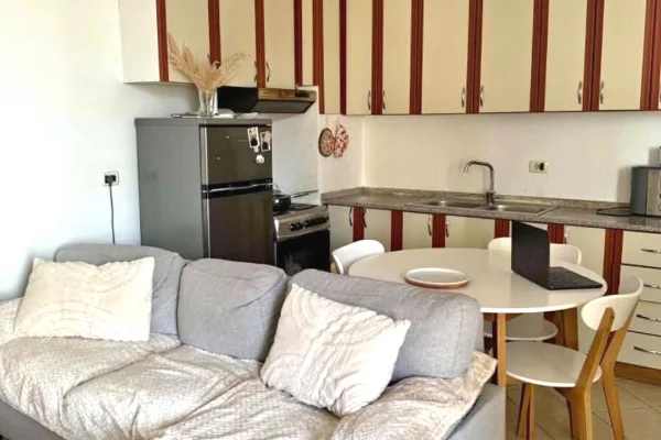 Jepet apartament 1+1 me qira tek Rruga e Kavajes , prane Globe##550Leke##101