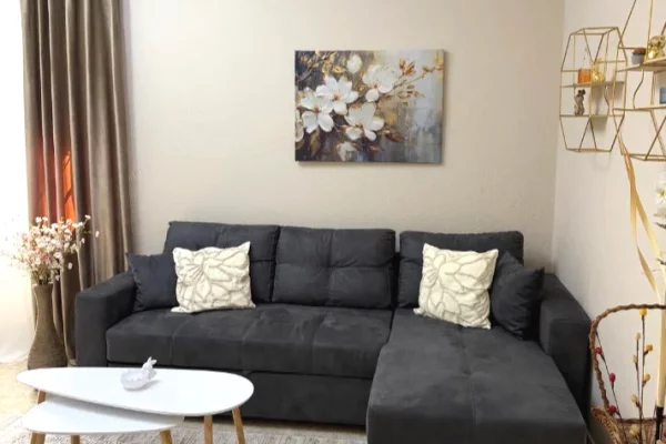 Shtepi me qera 1+1 ne Tirane - 700 Euro