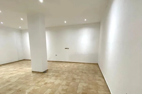 Ambient biznesi me qera 3+1 ne Tirane - 400 Euro