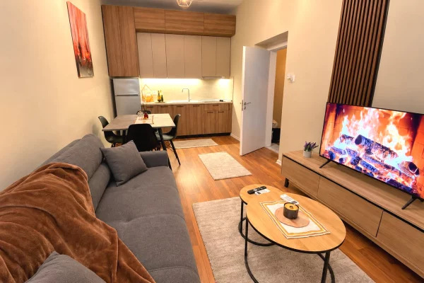 Jepet apartament 1+1 me qira tek Pallatet Agimi##700leke##274