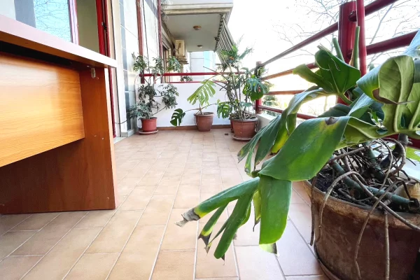 JEPET ME QIRA – Ambjent Zyrash