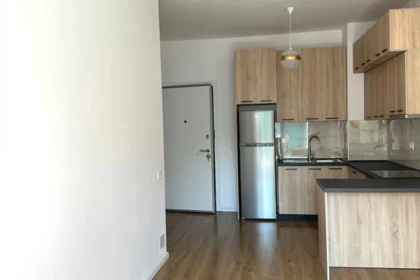 Shtepi me qera Apartament ne Tirane, 1+1, Mobilimi Pjeserisht e mobiluar, Pagesa 400  Euro.
