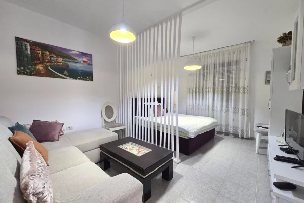 Shtepi ne shitje Apartament ne Tirane, 1+1, Mobilimi E mobiluar, Pagesa 95,000  Euro.