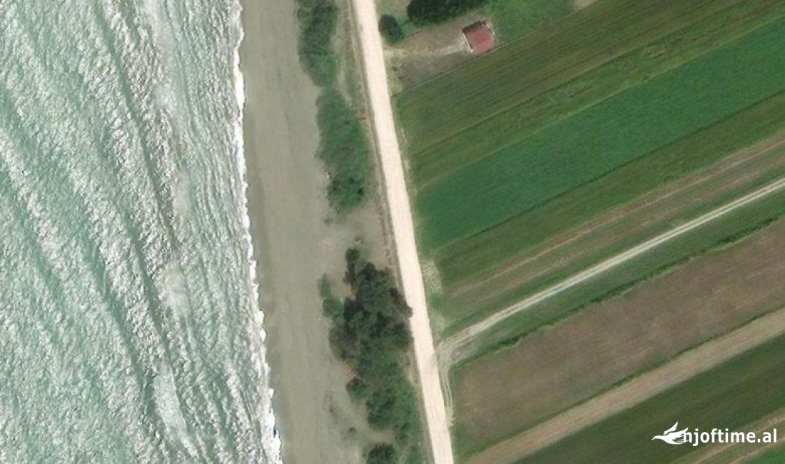 Shitet truall buze detit ne Spille 22 000 m2