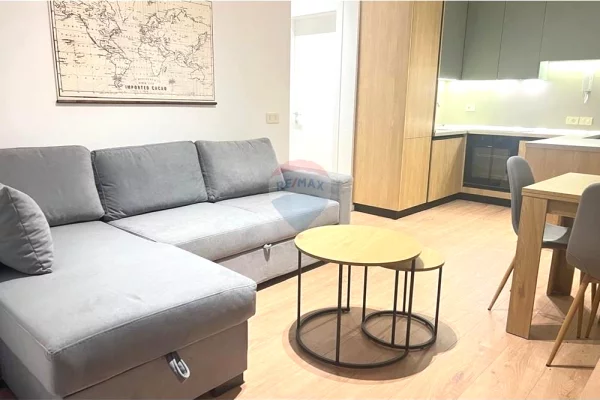 House for Rent 1+1 in Tirana - 850 Euro