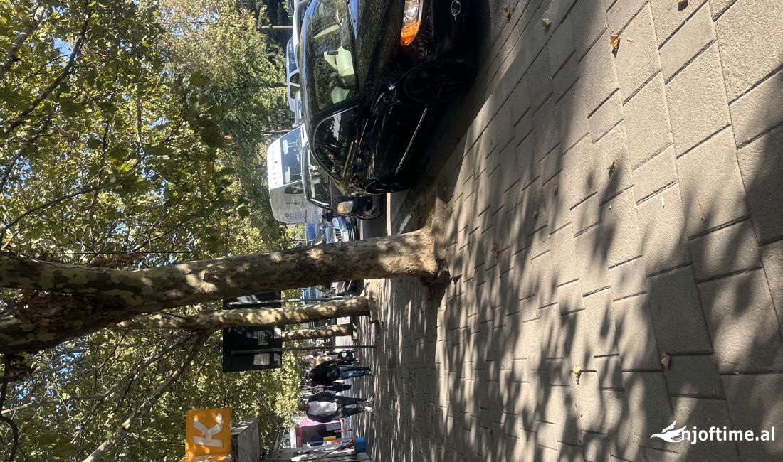 JEPET AMBJENT ME QIRA PER ZYRE NE BULEVARDIN GJERGJ FISHTA 450 euro