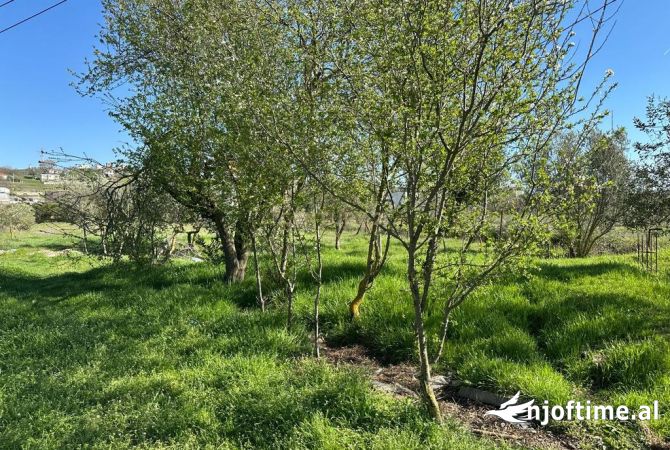 Tokë Për Shitje në Vorë, 500,000 €