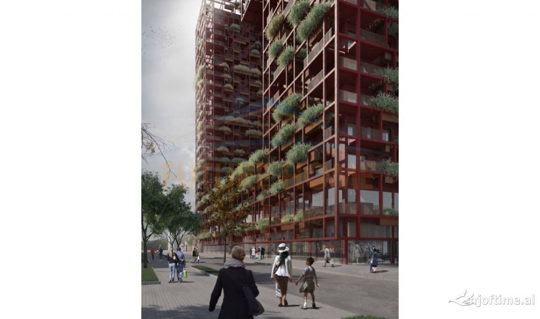 Shitet, Ambjent Biznesi, Rruga e Kavajes,