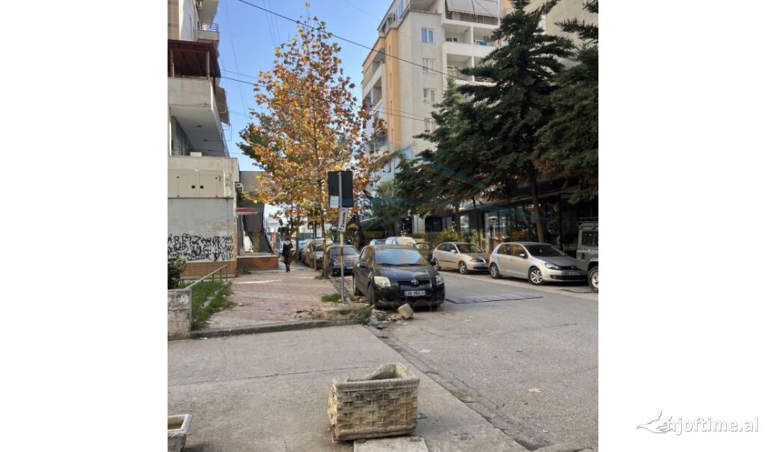 Shitet Ambjent Biznesi ne Rrugen Teodor Keko