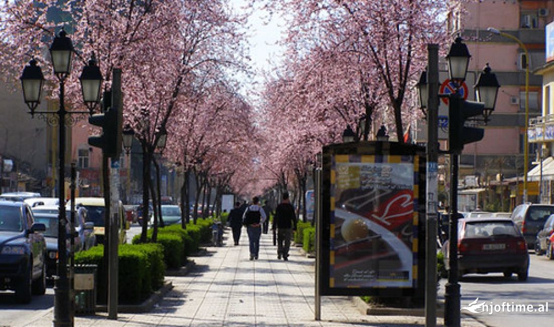 Qera, Kat 0 Ambient Biznesi, Rruga e Kavajes