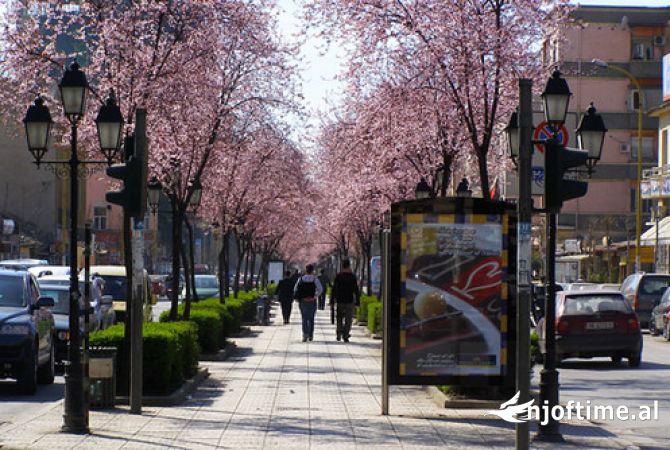 Qera, Kat 0 Ambient Biznesi, Rruga e Kavajes