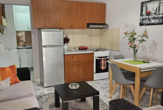 Shtepi me qera Apartament ne Tirane, 1+1, Mobilimi E mobiluar, Pagesa 360  Euro.