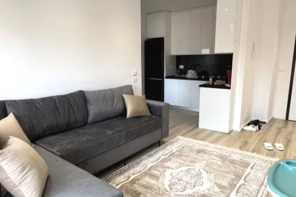 Shtepi me qera Apartament ne Tirane, 1+1, Mobilimi E mobiluar, Pagesa 549  Euro.