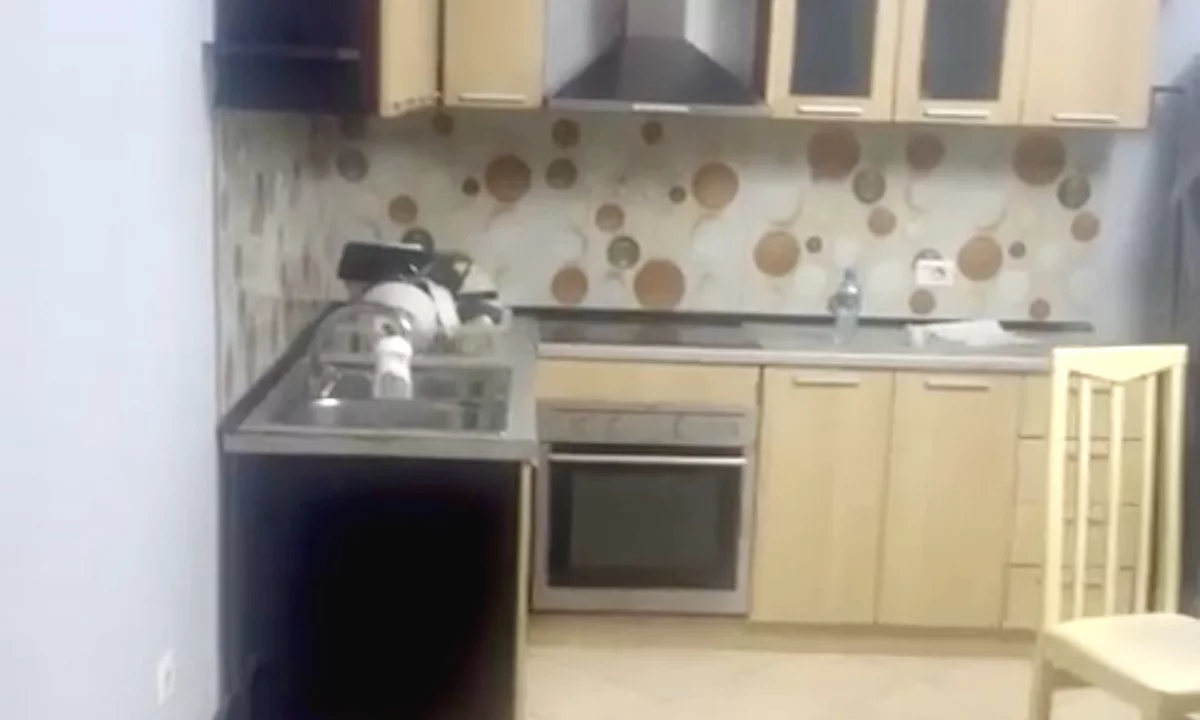 Shtepi me qera Apartament ne Tirane, 1+1, Mobilimi E mobiluar, Pagesa 420  Euro.