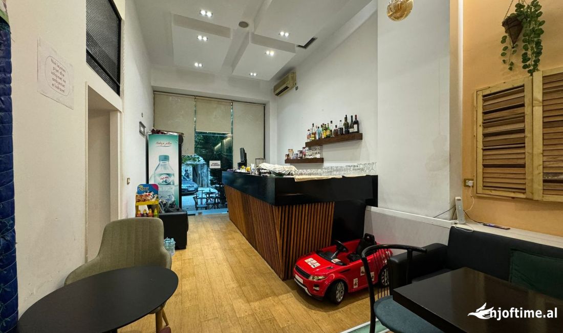 ✨LOKAL ME QERA TE SHESHI WILSON ✨!!!!!!!!!!!!!!!!!!!!!!!!!!!!!!!!!!!!!!!!!!!!!!!!!!!!