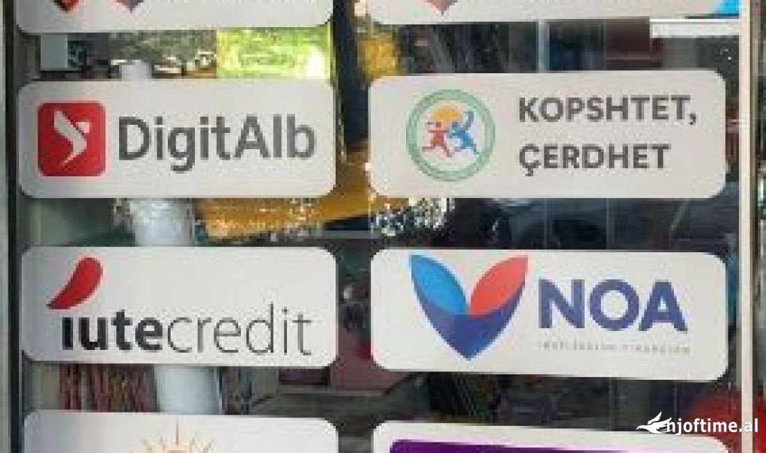 SHITET BIZNESI / AKTIVITETI