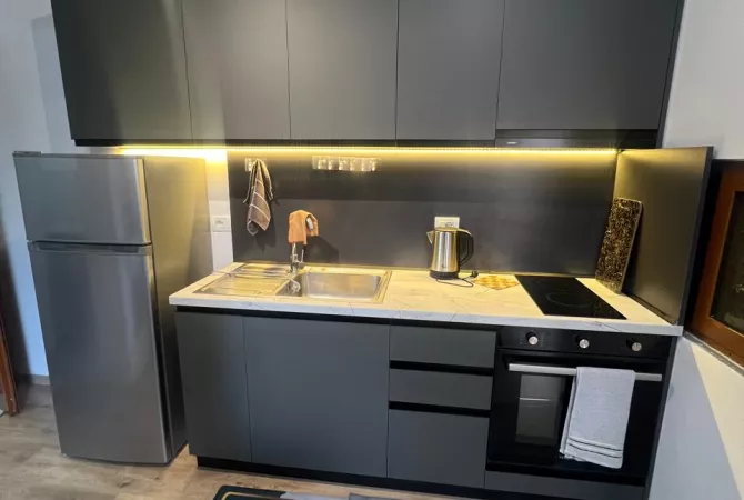 Apartment for rent in Tirana Garsoniere, Furnished