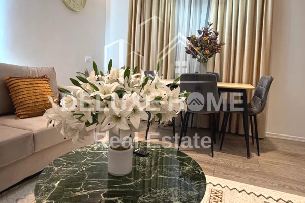 Apartment for rent in Tirana 1+1, Furnished