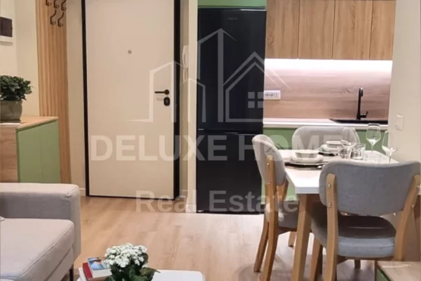 Shtepi me qera Apartament ne Tirane, 1+1, Mobilimi E mobiluar, Pagesa 650  Euro.
