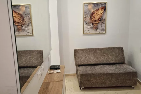 House for Rent Apartment in Tirana, 1+1, Furniture Furnished, Payment 35,000  Leke.