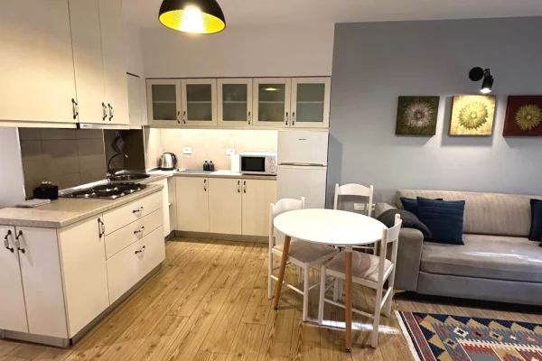 Shtepi me qera Apartament ne Tirane, 1+1, Mobilimi E mobiluar, Pagesa 65,000  Leke.