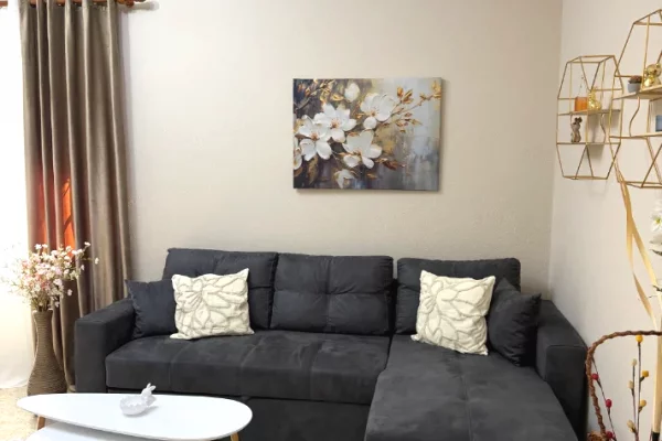Shtepi me qera Apartament ne Tirane, 1+1, Mobilimi E mobiluar, Pagesa 70,000  Leke.