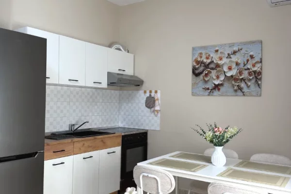 Shtepi me qera Apartament ne Tirane, 1+1, Mobilimi E mobiluar, Pagesa 70,000  Leke.