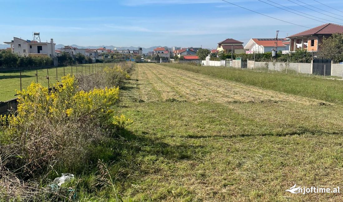 Shitet Toke 4200m/2 (Kamez)