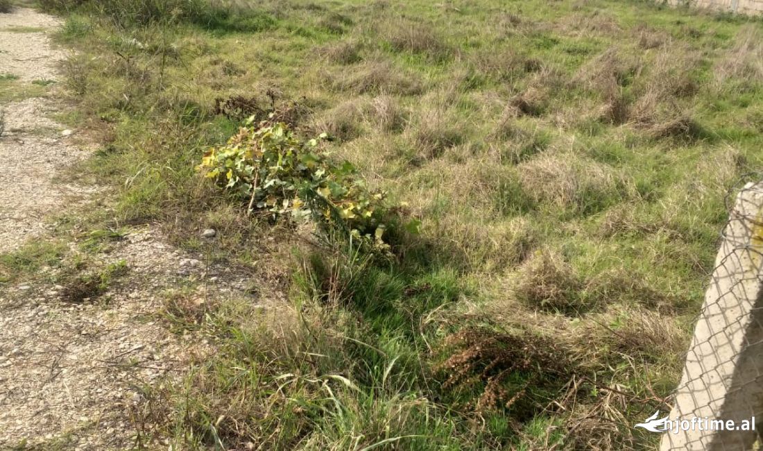 Shitet Toke 600m/2 (Kamez)