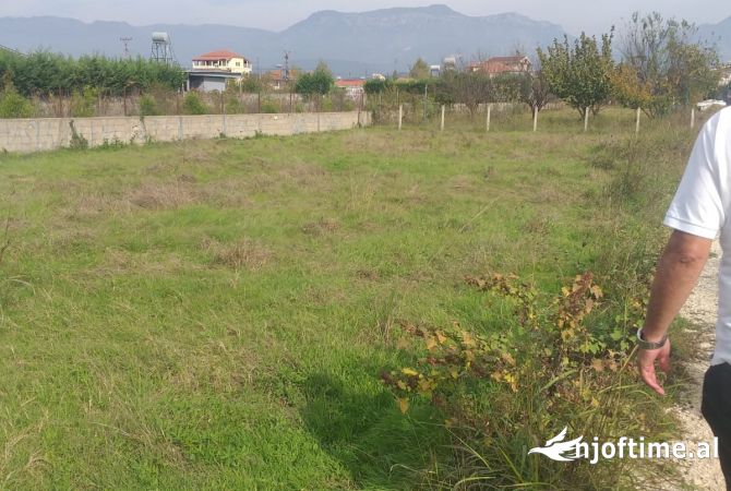 Shitet Toke 600m/2 (Kamez)