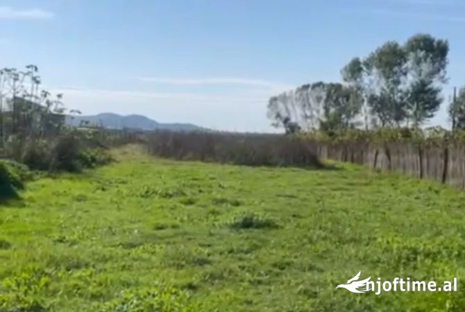 Shitet Toke Qerret 1050m/2 Ose Nerrohet me Toke Tr 