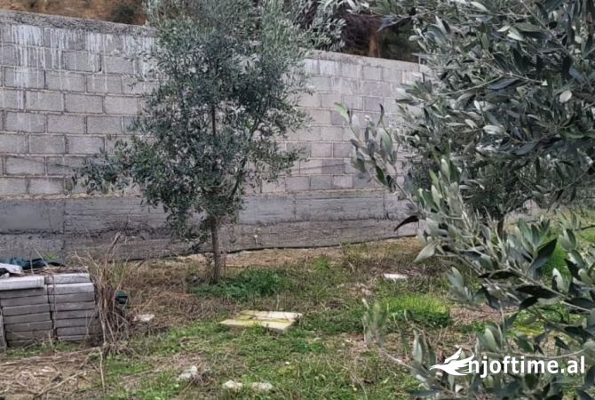 Shitet Toke Ullishte (Yzberisht)