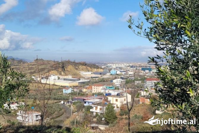 Shitet Toke Ullishte (Yzberisht)