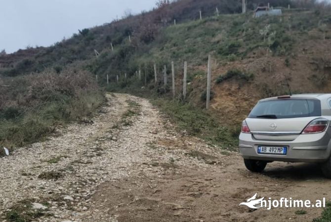 Shitet Toke Ullishte (Yzberisht)