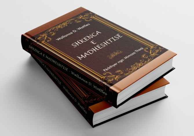 Libra ne Lezhe - 500 Leke